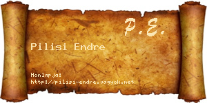 Pilisi Endre névjegykártya